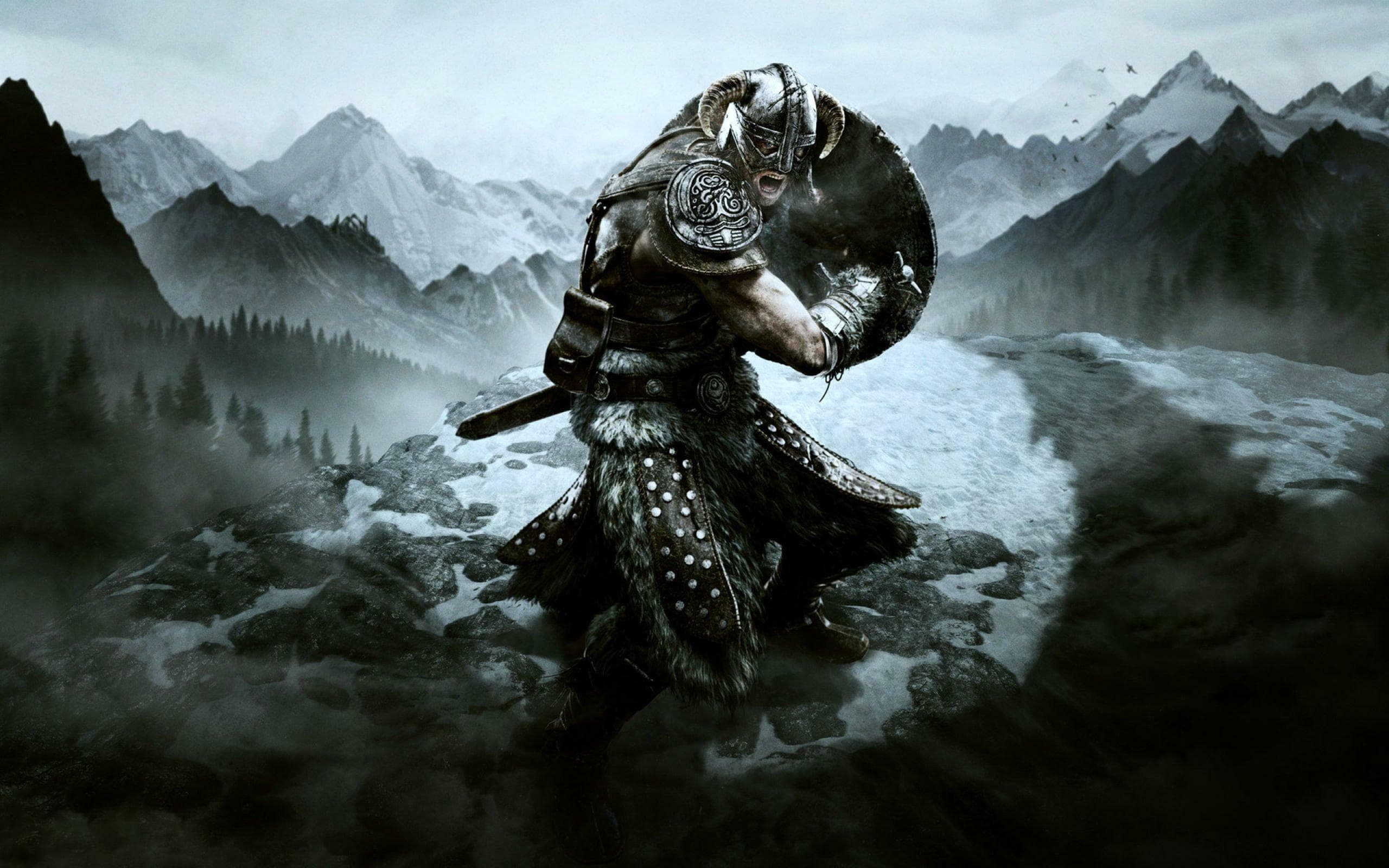 The Elder Scrolls V: Skyrim Special Edition Cover