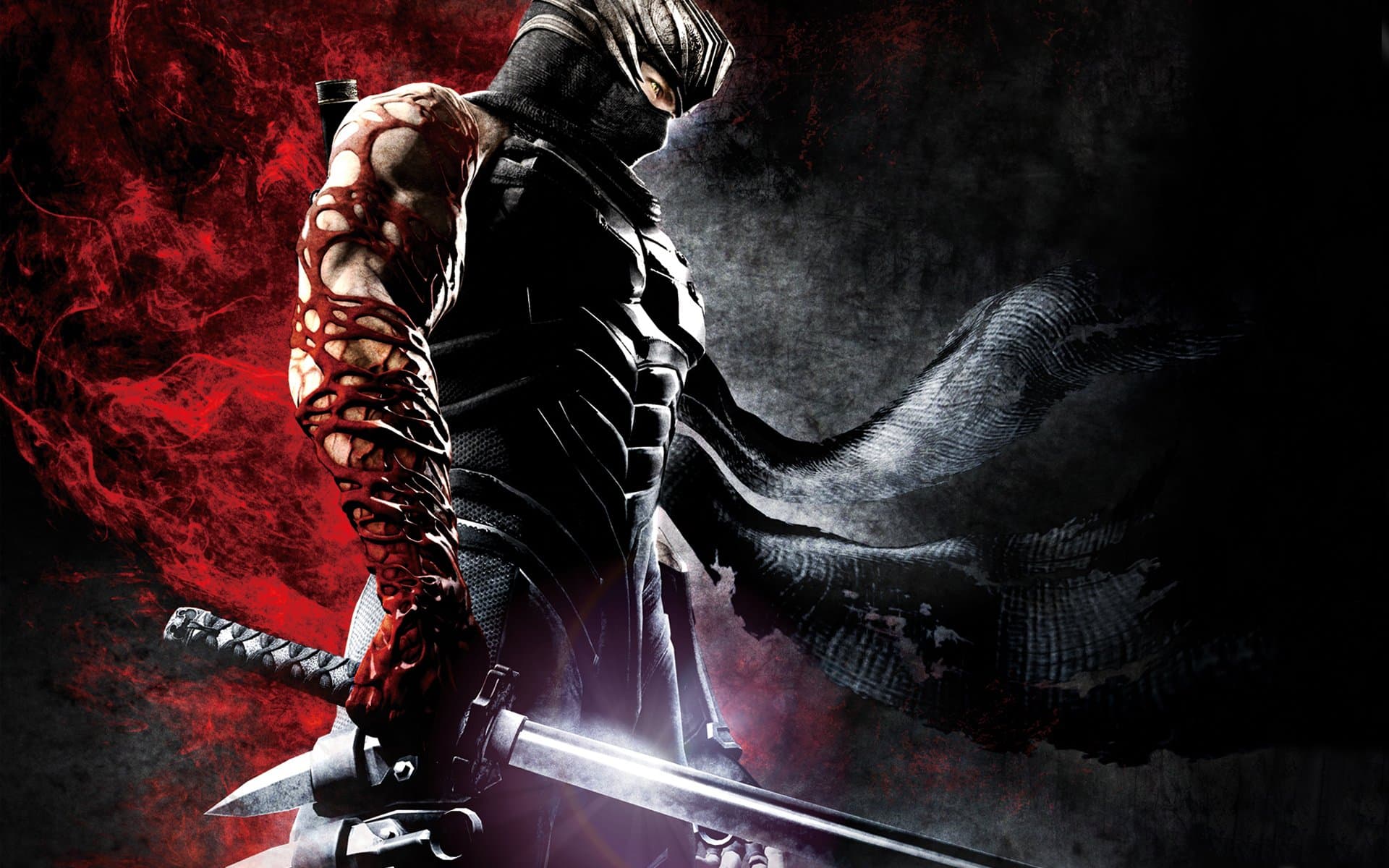 Ninja Gaiden 3 Cover