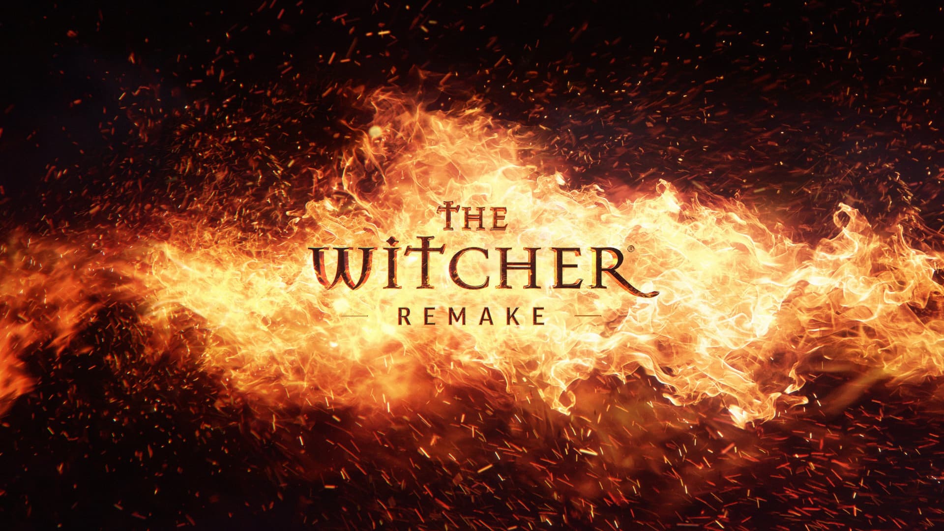 The Witcher: Remake Cover