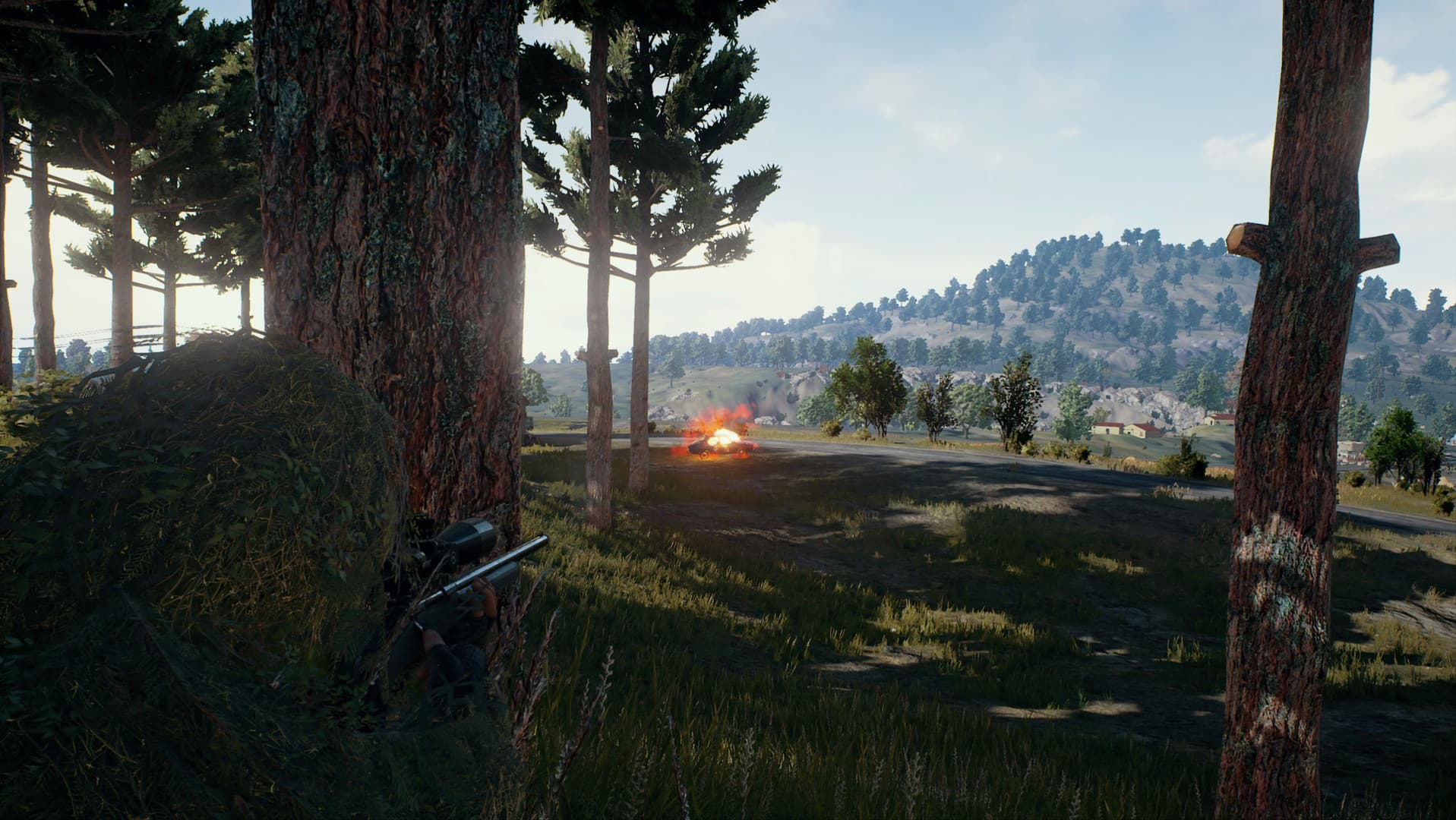 Screenshot 77426