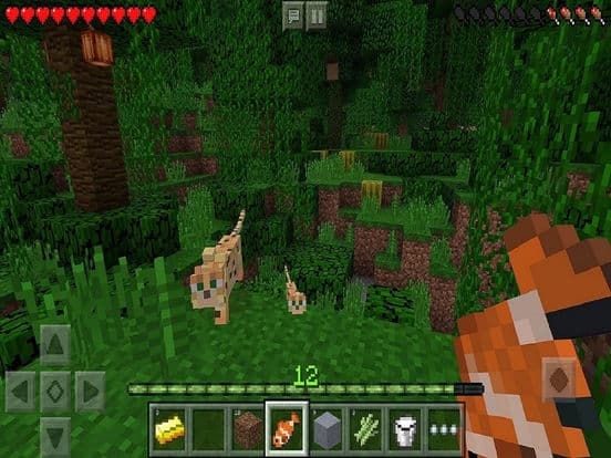 Minecraft: Pocket Edition Cover